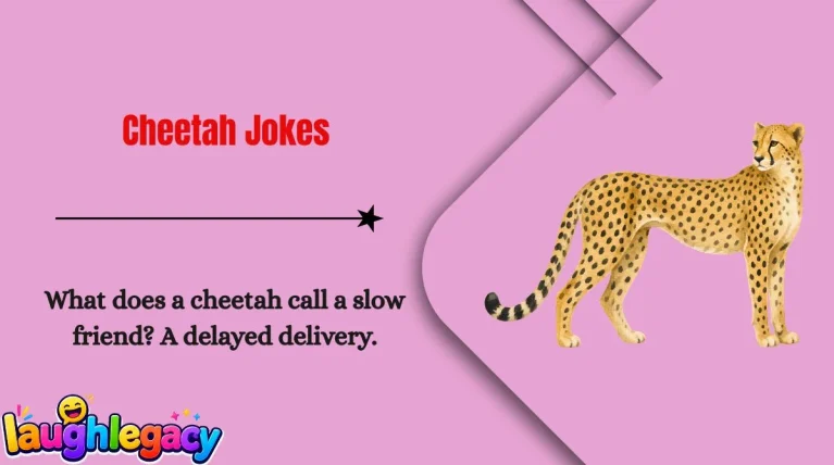 Cheetah Jokes