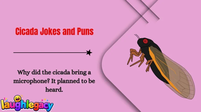 Cicada Jokes and Puns
