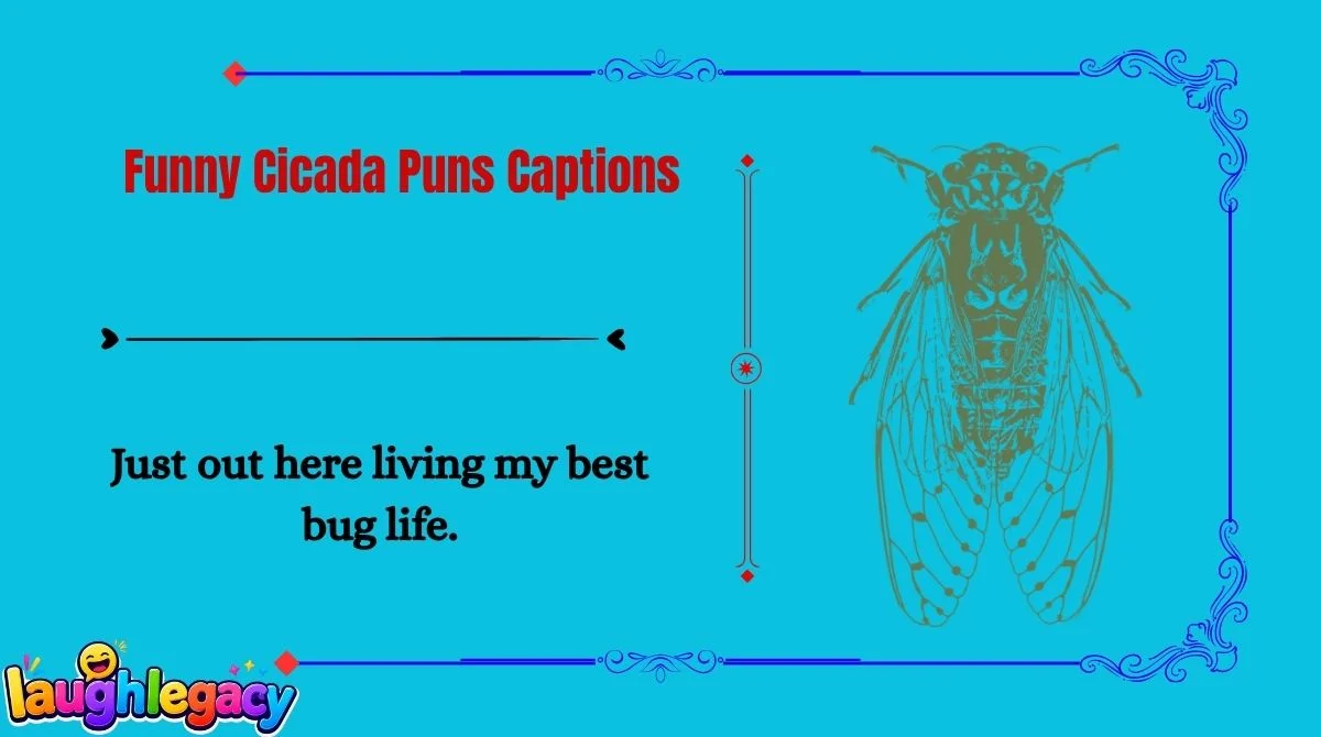 Cicada Jokes and Puns