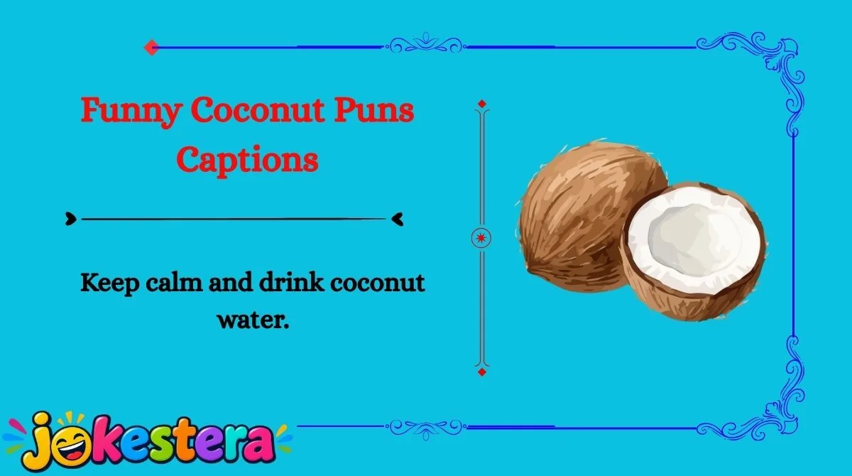 Coconut Jokes & Puns