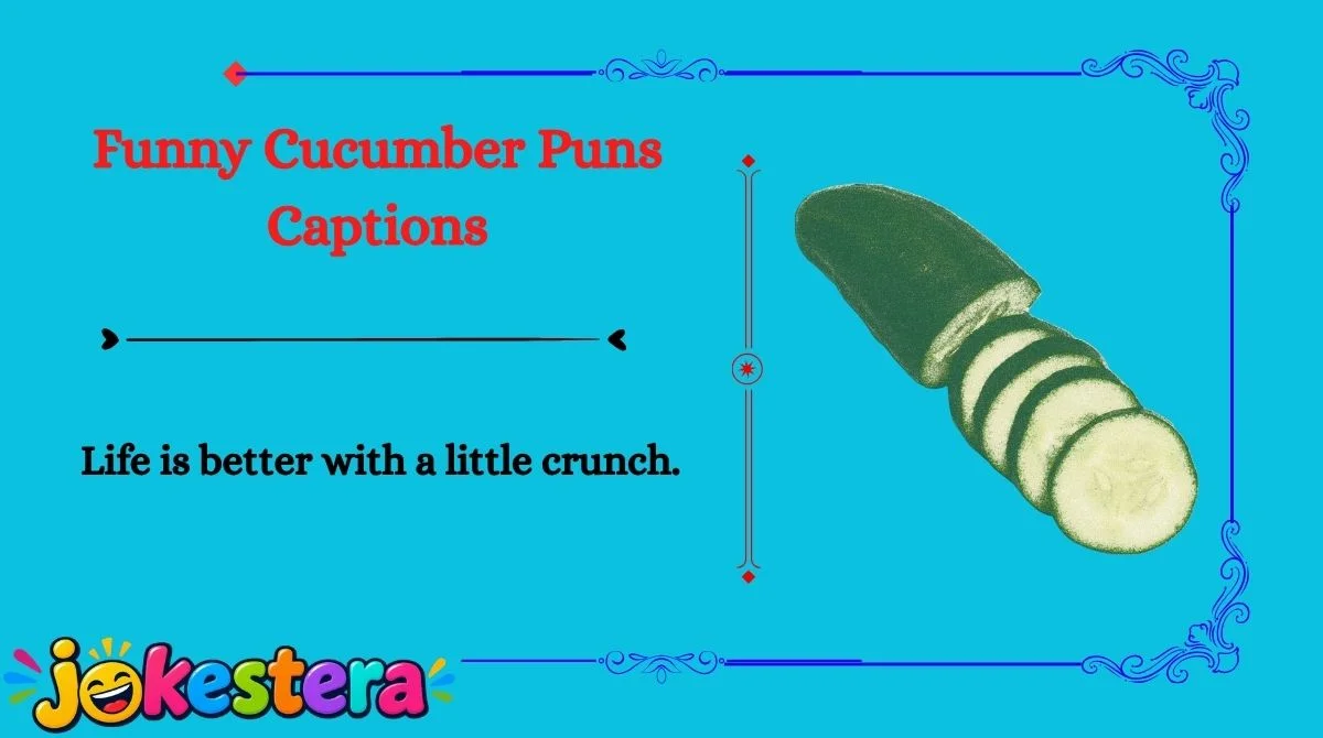 Cucumber Jokes