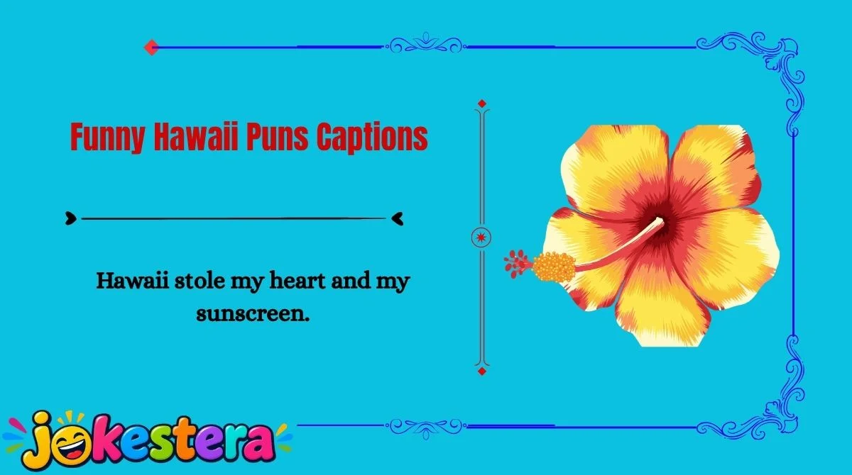 Hawaii Jokes