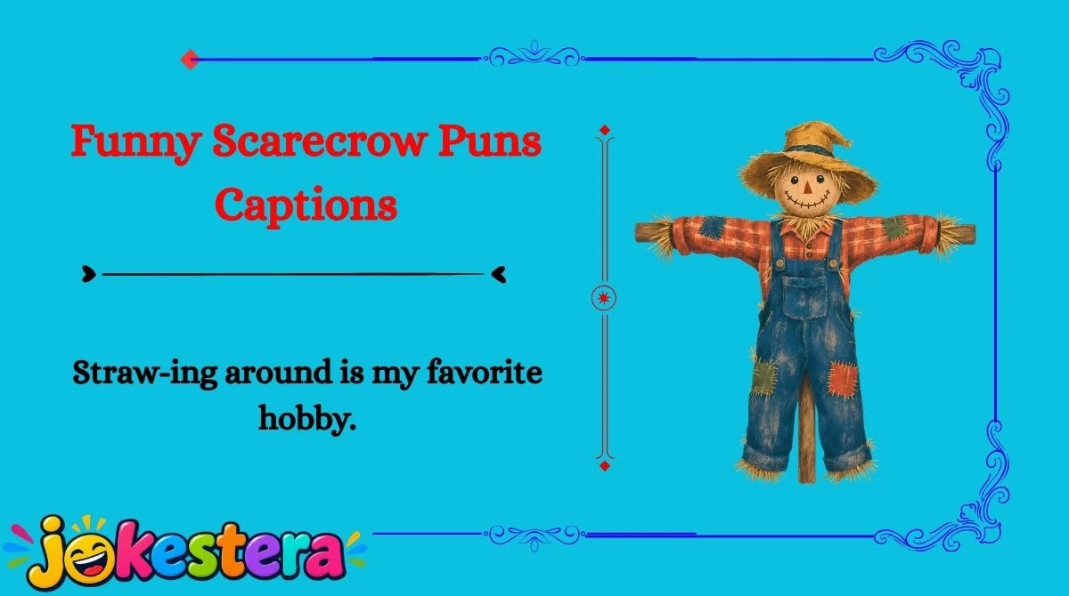 Scarecrow Jokes 