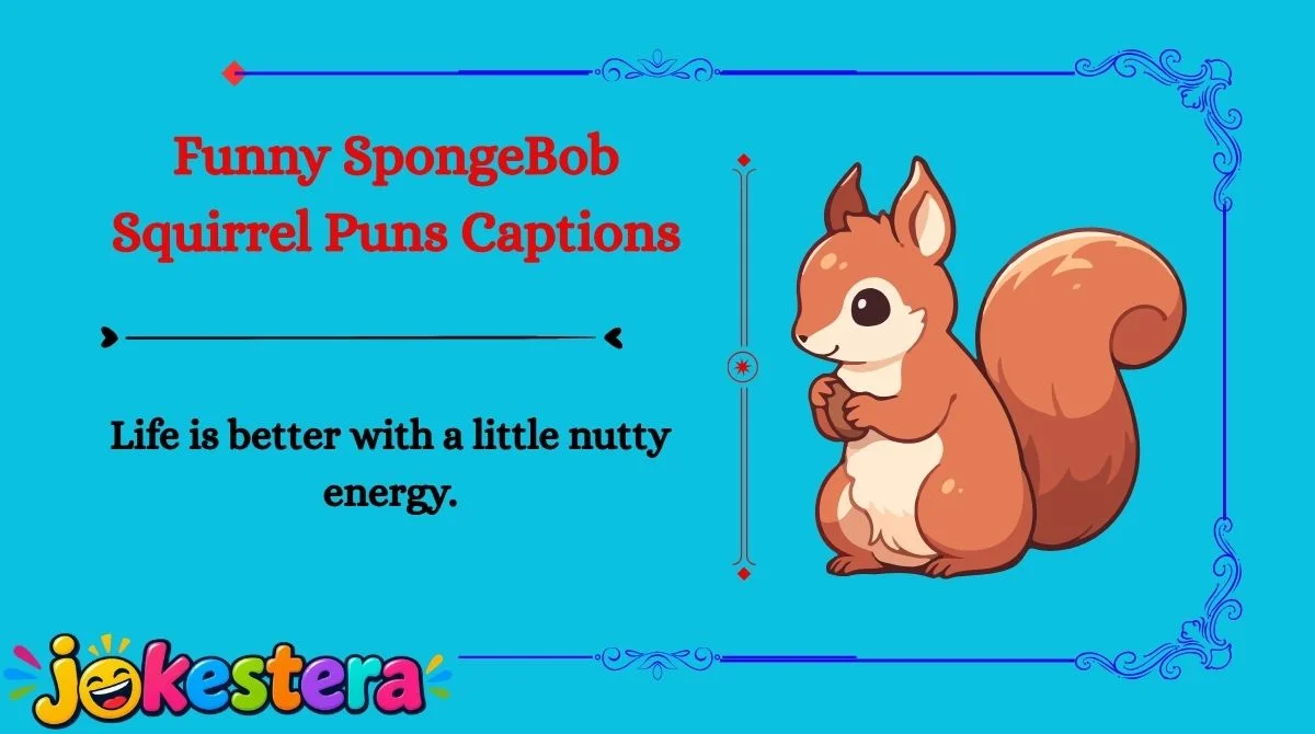 SpongeBob Squirrel Jokes