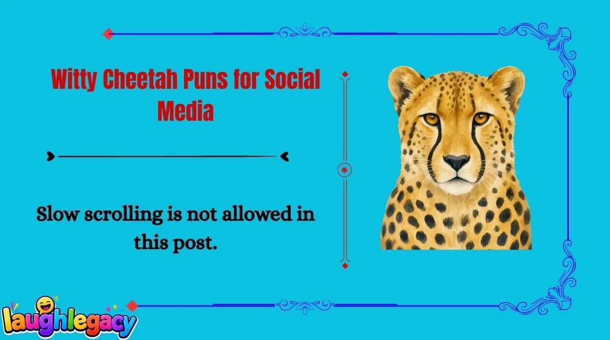 Cheetah Jokes