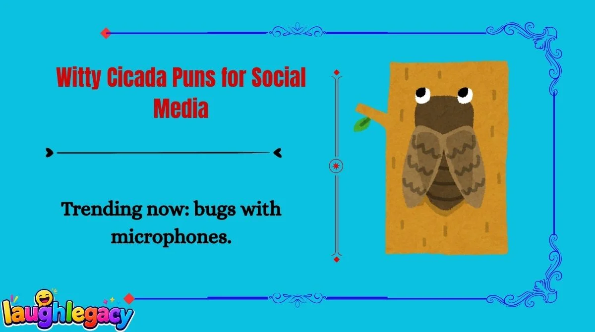 Cicada Jokes and Puns