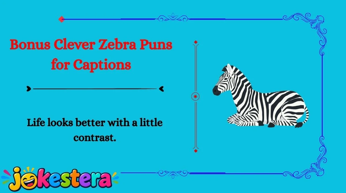 Zebra Jokes
