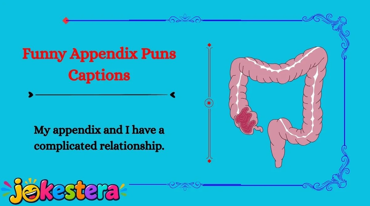 Appendix Jokes
