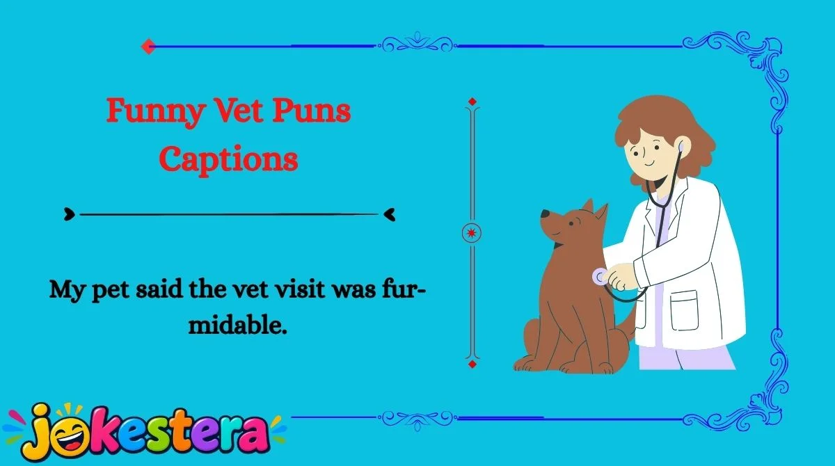 Vet Jokes 