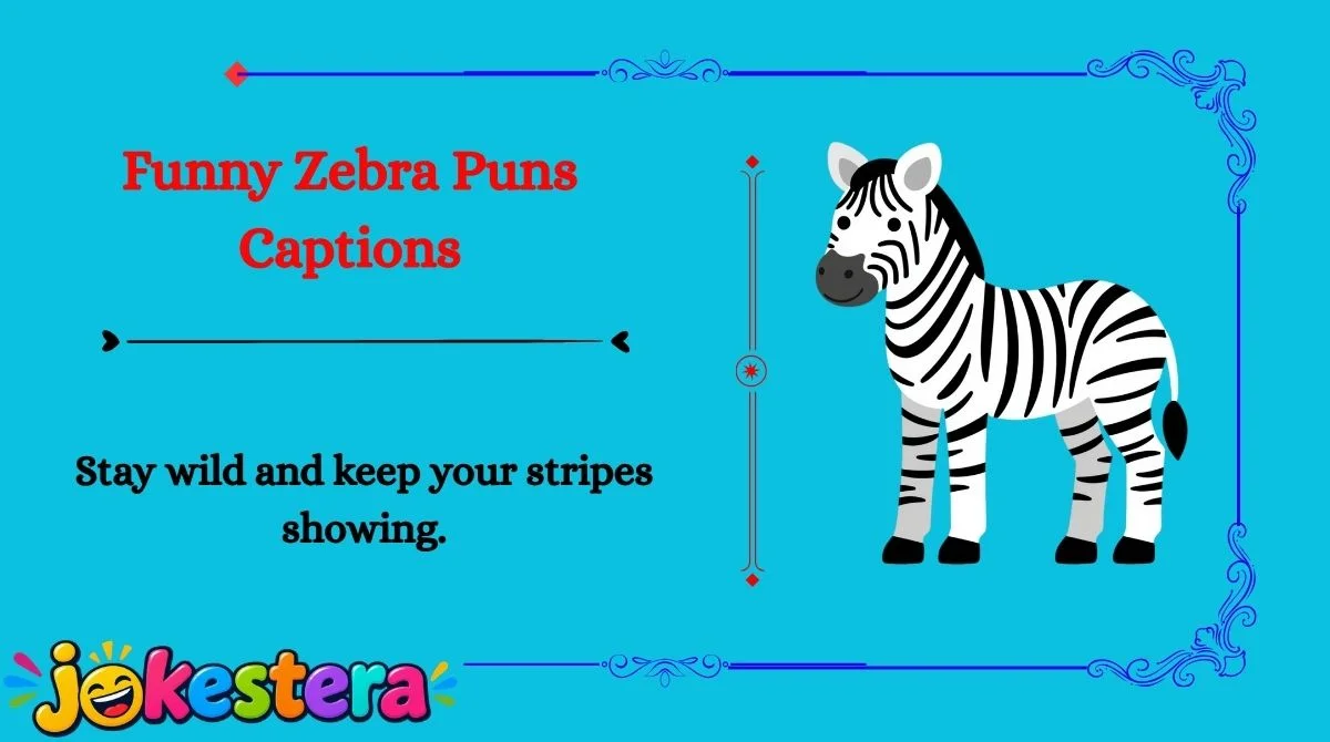 Zebra Jokes