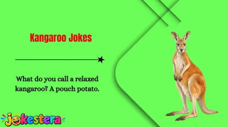 Kangaroo Jokes