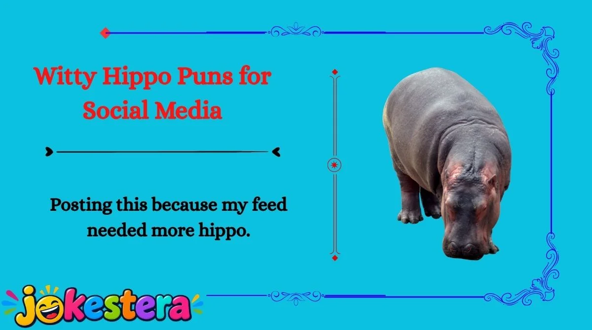 Hippo Jokes