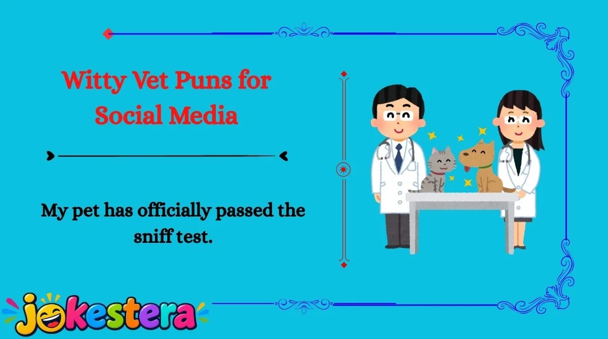 Vet Jokes 