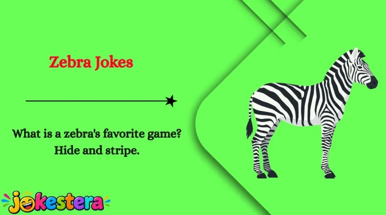 Zebra Jokes